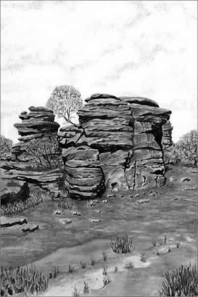 BRIMHAM ROCKS painted by DAVID APPLEYARD