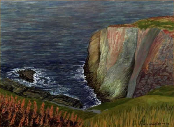 CLIFF TOPS, ANGLESEY painted by DAVID APPLEYARD