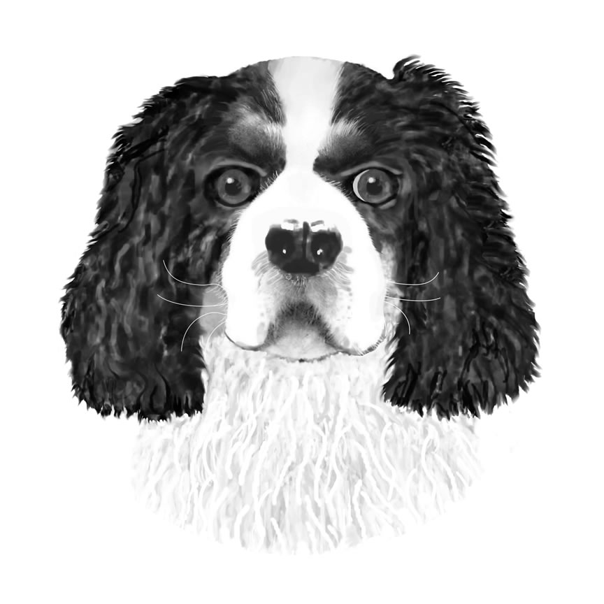 CHESTER PREPARATORY DIGITAL SKETCH for commission painted by DAVID APPLEYARD