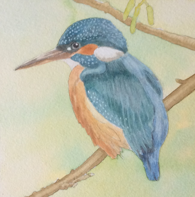 KINGFISHER painted by DAVID APPLEYARD